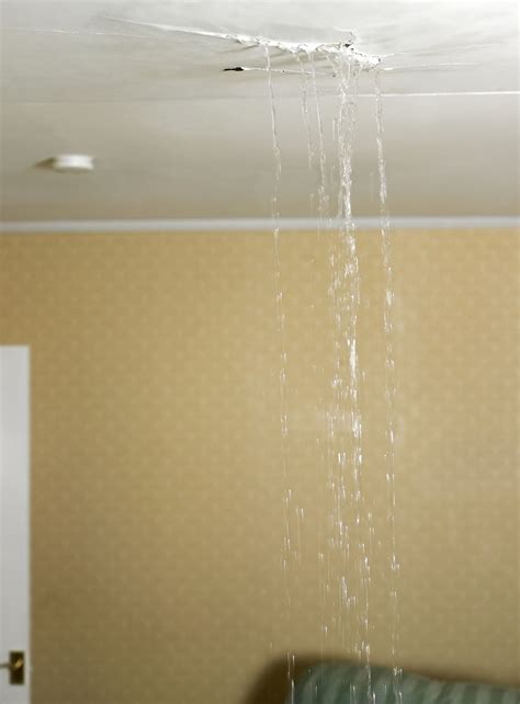 ceiling leaking after shower|Water Leaking From the Ceiling After a Shower 